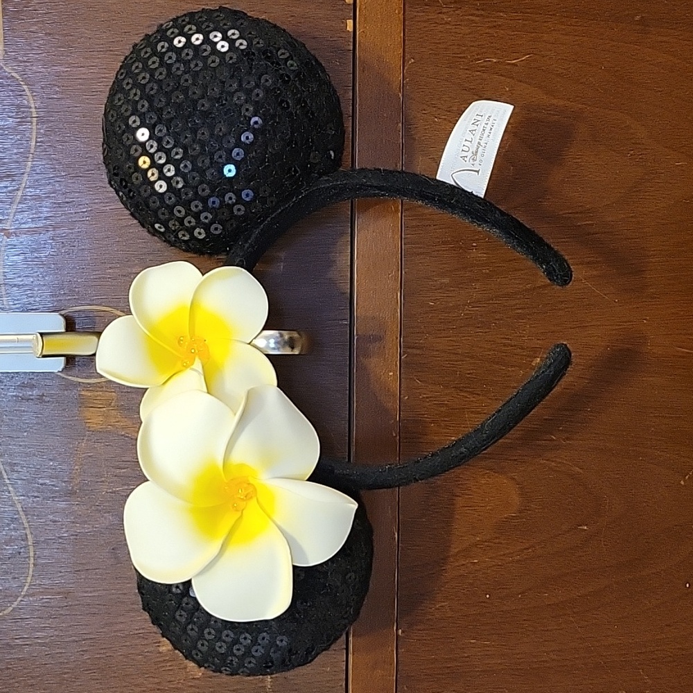 Disney Park Merchandise